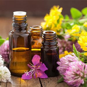 Formation Aromathérapie