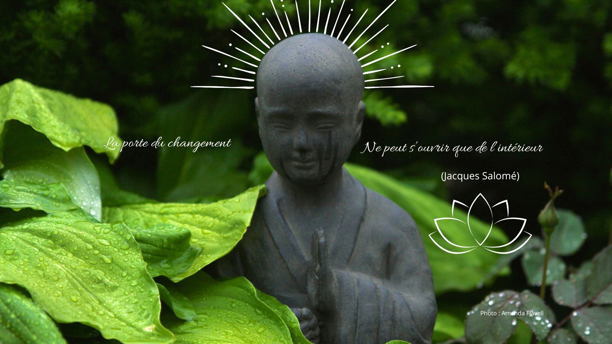 formation soku shindo